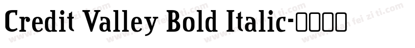 Credit Valley Bold Italic字体转换
